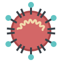coronavirus (1)