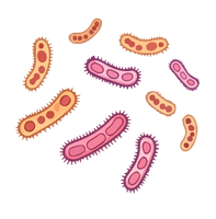 bacterias