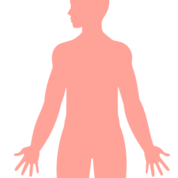 Avances recientes en bioingeniería cutánea y bioimpresión 3D de piel: revisión narrativa estructurada de la literatura en inglés y español (2020–2025).